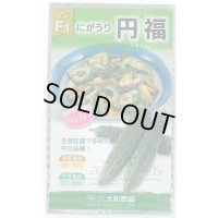 送料無料　[ゴーヤ]　円福　6粒　（株）大和農園