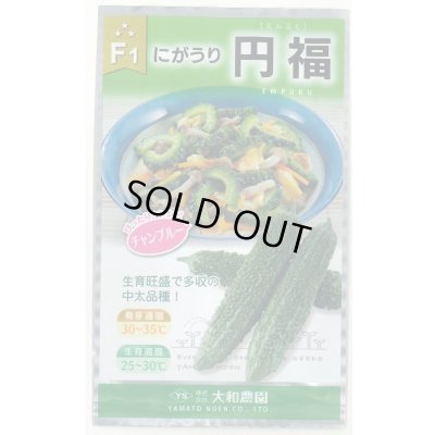 画像1: 送料無料　[ゴーヤ]　円福　6粒　（株）大和農園