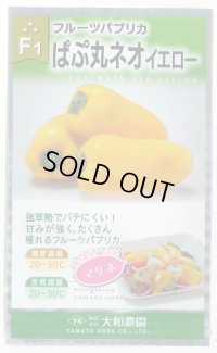 送料無料　[パプリカ]　ぱぷ丸ネオイエロー　100粒（株）大和農園　　