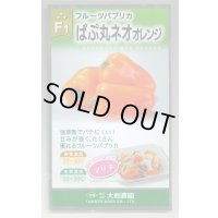 送料無料　[パプリカ]　ぱぷ丸ネオオレンジ　100粒（株）大和農園　　