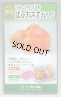 送料無料　[パプリカ]　ぱぷ丸ネオオレンジ　100粒（株）大和農園　　