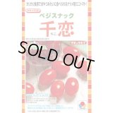 送料無料　[トマト/ミニトマト]　千恋　およそ8粒　タキイ種苗（株）DF