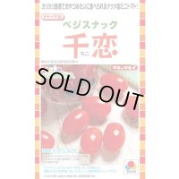 送料無料　[トマト/ミニトマト]　千恋　およそ8粒　タキイ種苗（株）DF