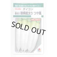 送料無料　[大根]　つや風　1.8ml　タキイ種苗(株)　GF