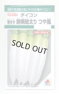 送料無料　[大根]　つや風　1.8ml　タキイ種苗(株)　GF