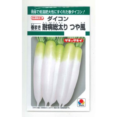 画像1: 送料無料　[大根]　つや風　1.8ml　タキイ種苗(株)　GF