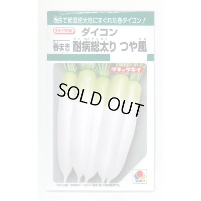 画像1: 送料無料　[大根]　つや風　1.8ml　タキイ種苗(株)　GF
