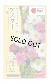 送料無料　花の種　アスター　ナナ　混合　小袋　タキイ種苗(株)(NL300)