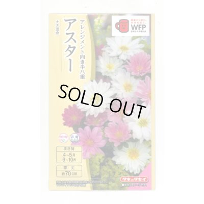 画像1: 送料無料　花の種　アスター　ナナ　混合　小袋　タキイ種苗(株)(NL300)