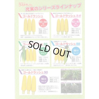 画像6: 送料無料[とうもろこし]　ゴールドラッシュ90　2000粒　(株)サカタのタネ