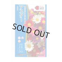 送料無料　花の種　アスター　ネネ　混合　小袋　タキイ種苗(株)(NL300)