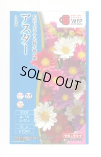 送料無料　花の種　アスター　ネネ　混合　小袋　タキイ種苗(株)(NL300)