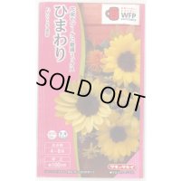 送料無料　花の種　ひまわり　サンリッチ混合　小袋　タキイ種苗(株)NL300