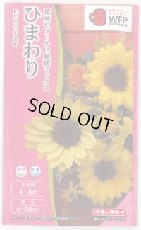 送料無料　花の種　ひまわり　サンリッチ混合　小袋　タキイ種苗(株)NL300