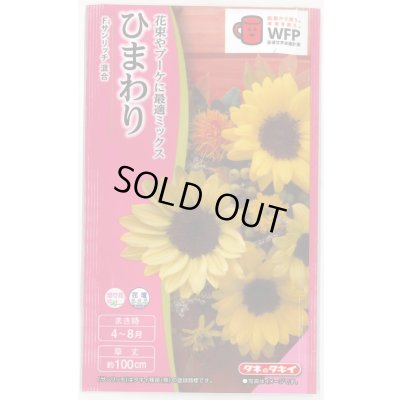 画像1: 送料無料　花の種　ひまわり　サンリッチ混合　小袋　タキイ種苗(株)NL300