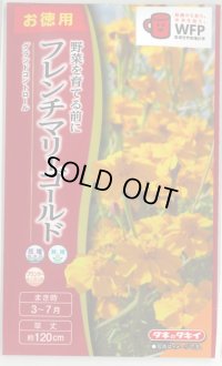 送料無料　花の種　お徳用パック！フレンチマリーゴールド　グランドコントロール　タキイ種苗(株)(NL500)