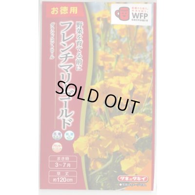 画像1: 送料無料　花の種　お徳用パック！フレンチマリーゴールド　グランドコントロール　タキイ種苗(株)(NL500)