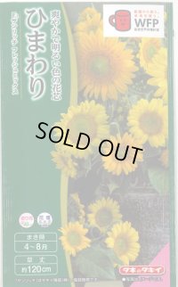 送料無料　花の種　ひまわり　サンリッチフレッシュミックス　小袋　タキイ種苗(株)NL300