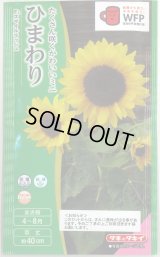 送料無料　花の種　ひまわり　スマイルラッシュ　(約20粒)　タキイ種苗(株)(NL300)