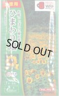 送料無料　花の種　お徳用パック！ひまわり畑　大輪一重咲黄色　タキイ種苗(株)NL500