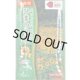 送料無料　花の種　お徳用パック！ひまわり畑　大輪一重咲黄色　タキイ種苗(株)NL500