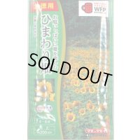 送料無料　花の種　お徳用パック！ひまわり畑　大輪一重咲黄色　タキイ種苗(株)NL500