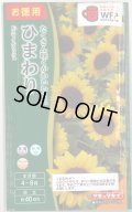 送料無料　花の種　お徳用パック！ミニひまわり　スマイルラッシュ　タキイ種苗(株)(NL500)