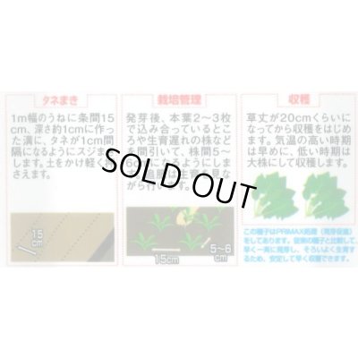 画像4: [ほうれんそう]　ブライトンスパーク　約900粒（株）サカタのタネ　実咲350（107811）