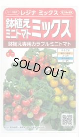 送料無料　[トマト/ミニトマト]　レジナミックス　約75粒 (株)サカタのタネ 実咲350（107809）