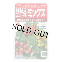 送料無料　[トマト/ミニトマト]　レジナミックス　約75粒 (株)サカタのタネ 実咲350（107809）