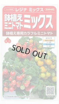 送料無料　[トマト/ミニトマト]　レジナミックス　約75粒 (株)サカタのタネ 実咲350（107809）