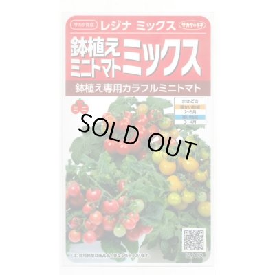 画像1: 送料無料　[トマト/ミニトマト]　レジナミックス　約75粒 (株)サカタのタネ 実咲350（107809）