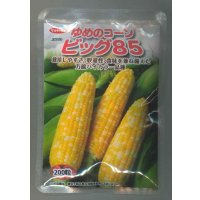 送料無料[とうもろこし]　ゆめのコーンビッグ85　2000粒　（株）サカタのタネ