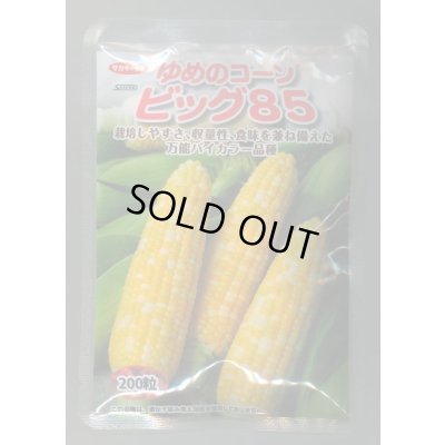 画像1: 送料無料[とうもろこし]　ゆめのコーンビッグ85　200粒　（株）サカタのタネ