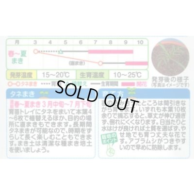 画像2: 送料無料　花の種　お徳用パック！コスモス畑　センセーション混合　タキイ種苗(株)NL300