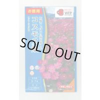 送料無料　花の種　お徳用パック！コスモス畑　センセーション混合　タキイ種苗(株)NL300