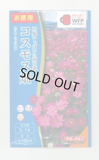 送料無料　花の種　お徳用パック！コスモス畑　センセーション混合　タキイ種苗(株)NL300