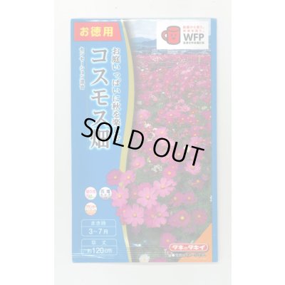 画像1: 送料無料　花の種　お徳用パック！コスモス畑　センセーション混合　タキイ種苗(株)NL300