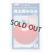 送料無料　[トマト/桃太郎系]桃太郎みなみ　1000粒　タキイ種苗(株)