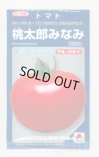 送料無料　[トマト/桃太郎系]桃太郎みなみ　1000粒　タキイ種苗(株)