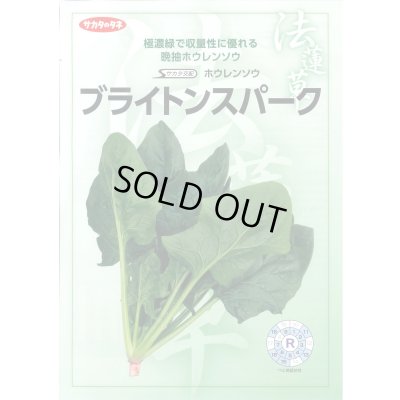 画像2: [ほうれんそう]　ブライトンスパーク　約900粒（株）サカタのタネ　実咲350（107811）