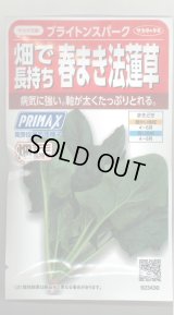 [ほうれんそう]　ブライトンスパーク　約900粒（株）サカタのタネ　実咲350（107811）