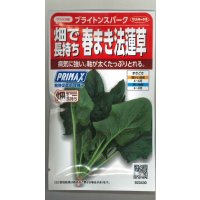 [ほうれんそう]　ブライトンスパーク　約900粒（株）サカタのタネ　実咲350（107811）