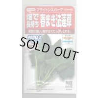 [ほうれんそう]　ブライトンスパーク　約900粒（株）サカタのタネ　実咲350（107811）