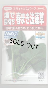 [ほうれんそう]　ブライトンスパーク　約900粒（株）サカタのタネ　実咲350（107811）