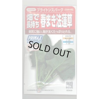 画像1: [ほうれんそう]　ブライトンスパーク　約900粒（株）サカタのタネ　実咲350（107811）