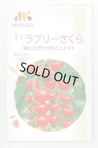 送料無料　[トマト/ミニトマト]　ミニトマト　ラブリーさくら　100粒　ヴィルモランみかど