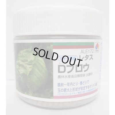 画像1: 送料無料　[レタス]　Dブロウ　ペレット5千粒　タキイ種苗(株)
