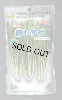 水菜 都むすめ 2dl タキイ種苗(株)
