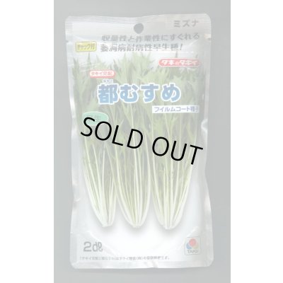 画像1: 水菜 都むすめ 2dl タキイ種苗(株)